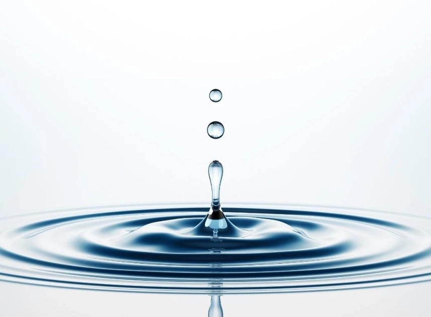 gota1