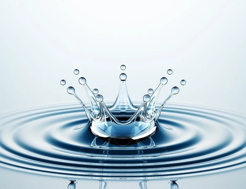 gota2