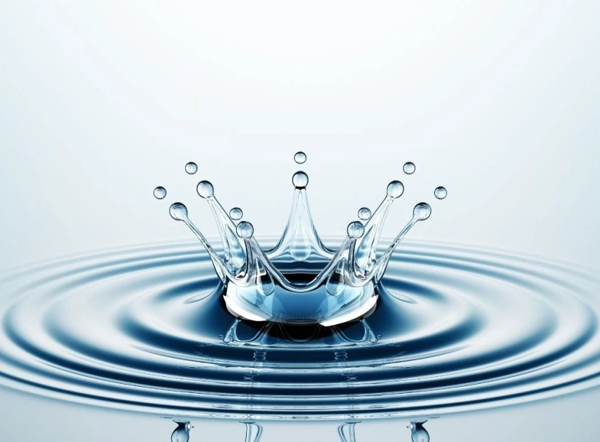 gota2